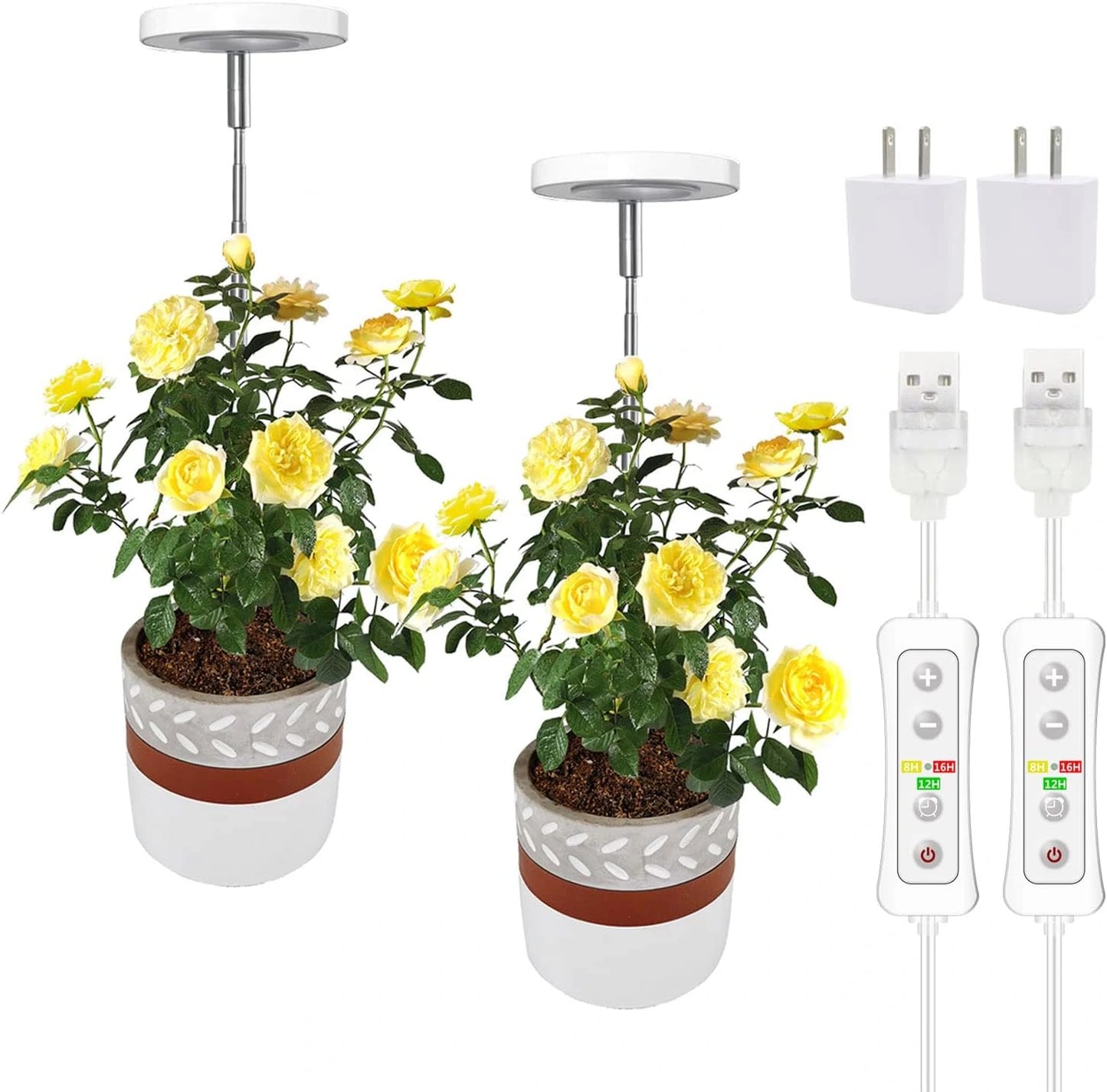 Depexi SunBeam — Flourish with Indoor Sun