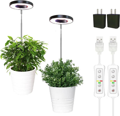 Depexi SunBeam — Flourish with Indoor Sun