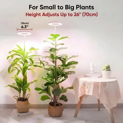 Depexi SunBeam — Flourish with Indoor Sun