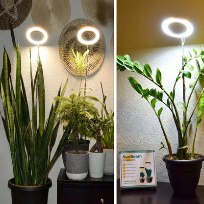 Depexi SunBeam — Flourish with Indoor Sun